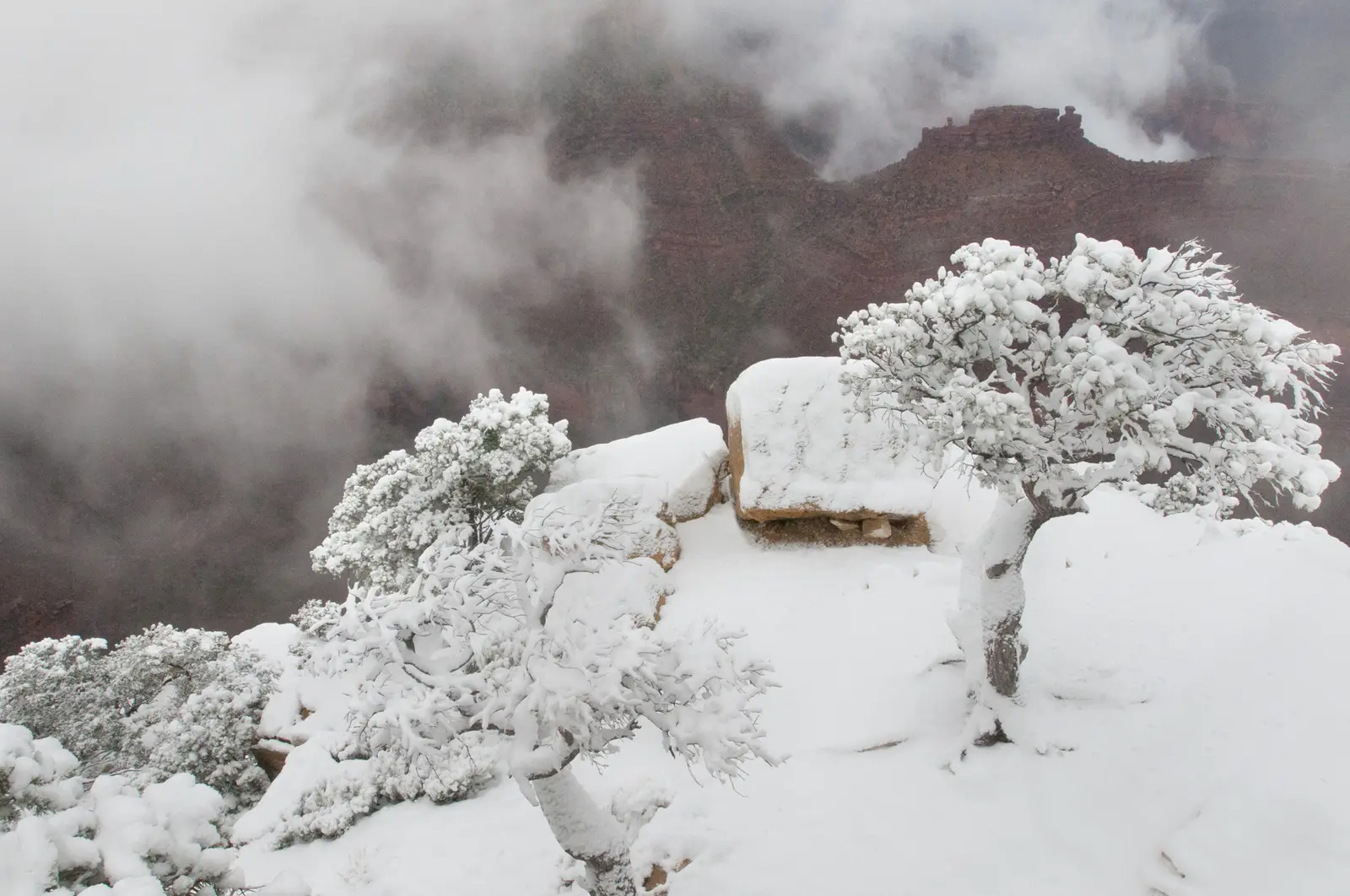 Fresh snow on the Grand Canyon rim