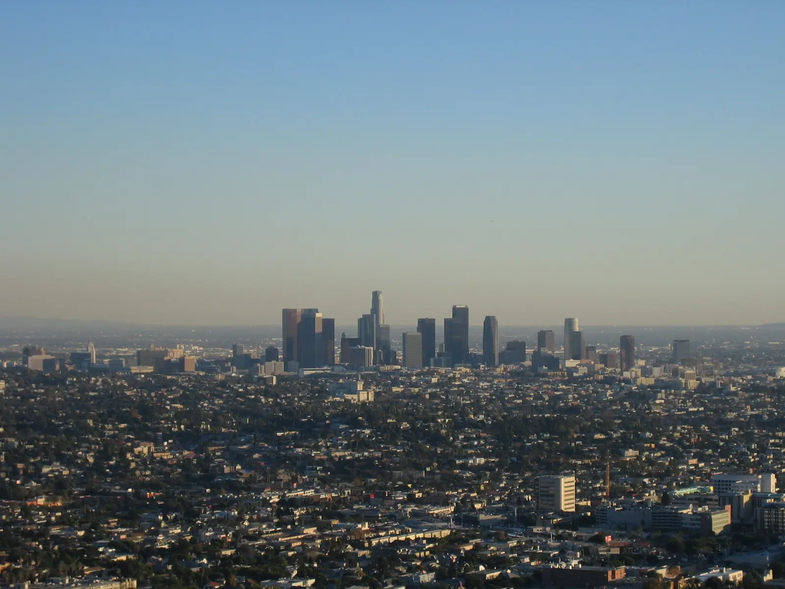 The Downtown Los Angeles skyline